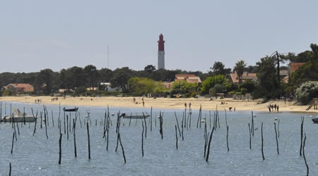 As you discover Arcachon, don't forget to take a walk or bike ride
