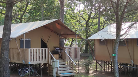 pick between our Safari Tents or our African Cabins